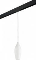 Трековый светильник Lightstar Pentola PRO803020