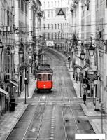 Фотообои Citydecor Города и Архитектура 53 200x260