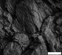 Фотообои Vimala Текстура камня 270x300