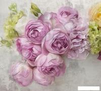 Фотообои Vimala Цветы на штукатурке 2 270x300