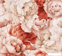 Фотообои Vimala Настенные цветы 26 270x300