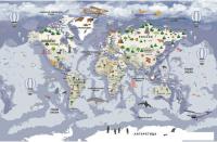 Фотообои Citydecor Детская Карта мира 340 400x260