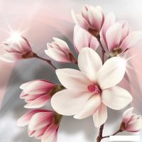 Фотообои Vimala Розовая магнолия 270x300
