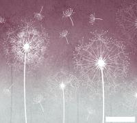 Фотообои Vimala Одуванчики на красном фоне 270x300