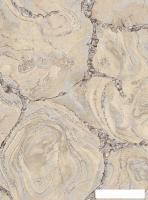 Виниловые обои Гомельобои Вандер к-51 23ВТР1 (на флизелине)