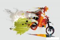 Фотообои Vimala Мото 2 270x400