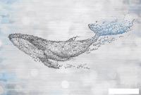 Фотообои Vimala Созвездие кита 270x400