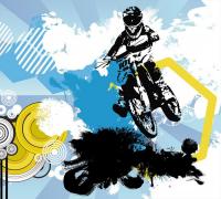 Фотообои Vimala Мото 270x300