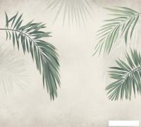 Фотообои Vimala Пальмовые листья на штукатурке 270x300