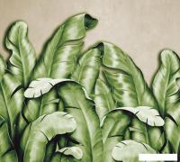 Фотообои Vimala Банановые листья зеленые 270x300