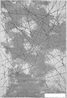 Ковер для жилой комнаты Bossan Rome 5720A-GRI-AGRI (2х4)