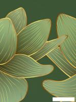 Фотообои Vimala Векторные листья 22 270x200