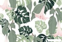 Фотообои Vimala Тропическая монстера 270x400