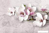 Фотообои Vimala Ветка магнолии 270x400