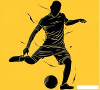 Фотообои Vimala Футболист 4 270x300