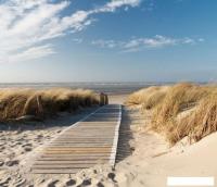 Фотообои Citydecor Природа 13 300x260