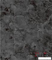 Варочная панель LEX EVI 430 F DS