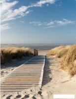 Фотообои Citydecor Природа 13 200x260