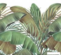 Фотообои Vimala Банановые листья на белом 270x300