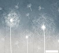 Фотообои Vimala Одуванчики на голубом фоне 270x300