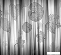 Фотообои Vimala Мелоди 270x300