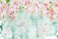 Фотообои Vimala Розовые лилии 270x400