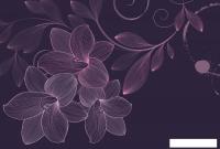 Фотообои Vimala Векторные цветы 16 270x400