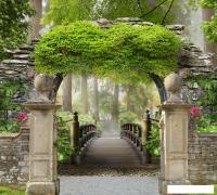 Фотообои Vimala Фреска 5 270x300