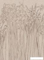 Фотообои Vimala Полевые цветы 4 270x200