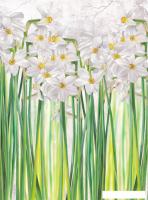 Фотообои Vimala Полевые цветы 1 270x200