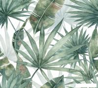 Фотообои Vimala Листья акварель 2 270x300