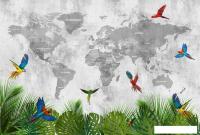 Фотообои Vimala Карта мира с попугаями 270x400