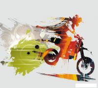 Фотообои Vimala Мото 2 270x300