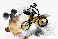 Фотообои Vimala Вело 270x400