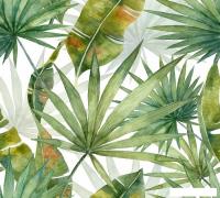 Фотообои Vimala Листья акварель 270x300