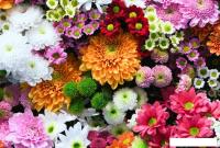 Фотообои ФабрикаФресок Цветочная Оранжерея 1014270 (400x270)