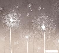 Фотообои Vimala Одуванчики на коричневом фоне 270x300