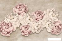 Фотообои Vimala Пионика на штукатурке 270x400