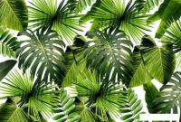 Фотообои Vimala Тропическая растительность 270x400