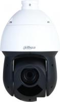 IP-камера Dahua DH-SD49216DB-HNY