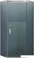 Душевой уголок Alex Baitler AB245-100 100x200