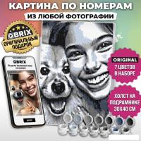 Картина по номерам QBRIX Original 40030