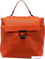 Городской рюкзак Passo Avanti 536-2301-ORN (оранжевый)