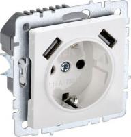 Розетка IEK Brite BR-R14-16-U21-D21-K01