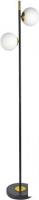 Торшер Arte Lamp Alcor A2224PN-2BK