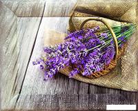 Картина Декарт 8Л0394