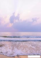 Картина Stamprint Сиреневый прилив SD028 (70x50)