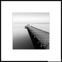 Картина Stamprint Природа 1 BW001 (50x50)