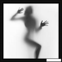 Картина Декарт 8Л1775