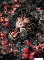 Картина Vimala На холсте 50x70 Арт 40